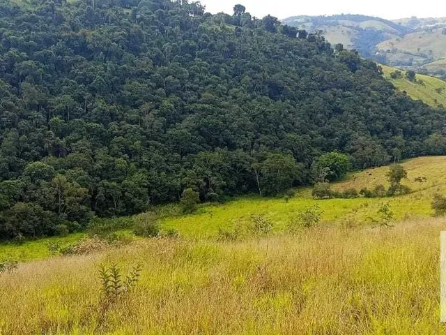 Imagem 9: Sítio À Venda no Bairro Centro - Caldas/Mg
