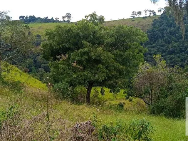 Imagem 6: Sítio À Venda no Bairro Centro - Caldas/Mg