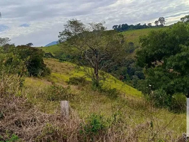 Imagem 10: Sítio À Venda no Bairro Centro - Caldas/Mg