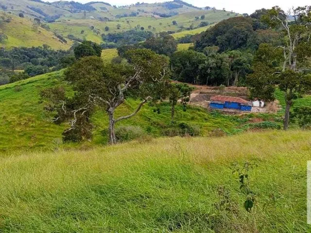 Imagem 7: Sítio À Venda no Bairro Centro - Caldas/Mg