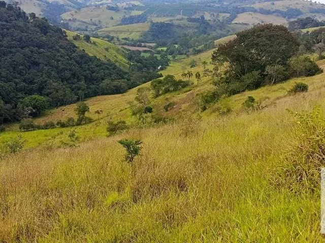 Imagem 3: Sítio À Venda no Bairro Centro - Caldas/Mg