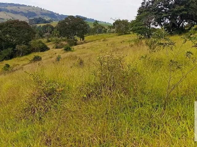 Imagem 16: Chácara À Venda no Bairro Centro - Andradas/Mg