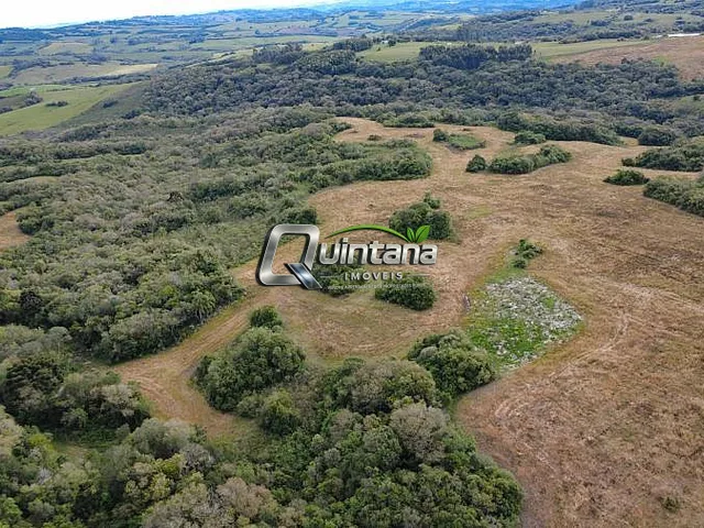 Imagem: Campo de 38 Ha À Venda em Cerrito/Rs