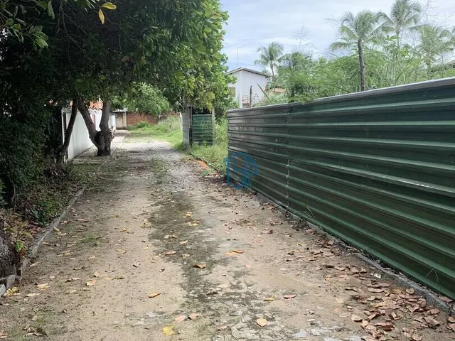 Imagem 12: Terreno Plano no Centro de Pipa, em Meio À Natureza