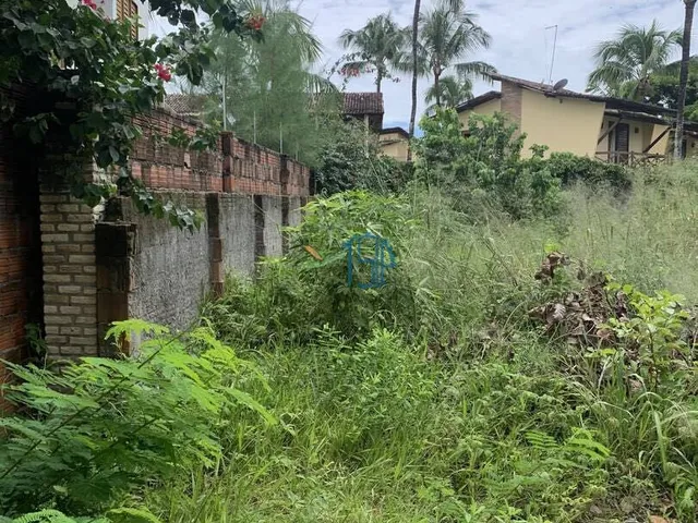 Imagem 4: Terreno Plano no Centro de Pipa, em Meio À Natureza