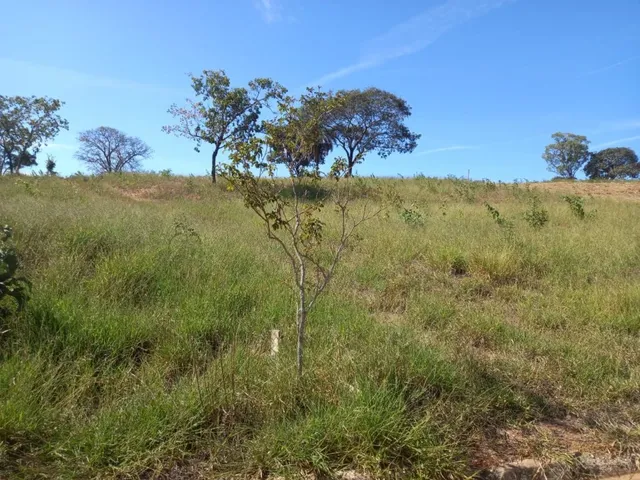 Imagem 16: Terrenos em Condomínio - Cond. Residencial Gran Royalle