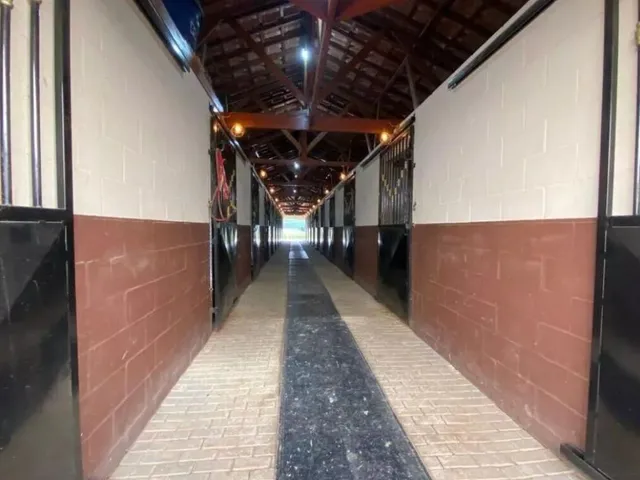 Imagem 8: Chácara Haras Chácara com 7 dormitórios