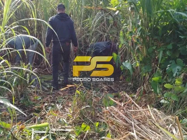 Imagem 13: Sitio com 4,9 Hectares a Venda Distrito de Bananeiras Entre Pirpirituba e Rua Nova-Pb
