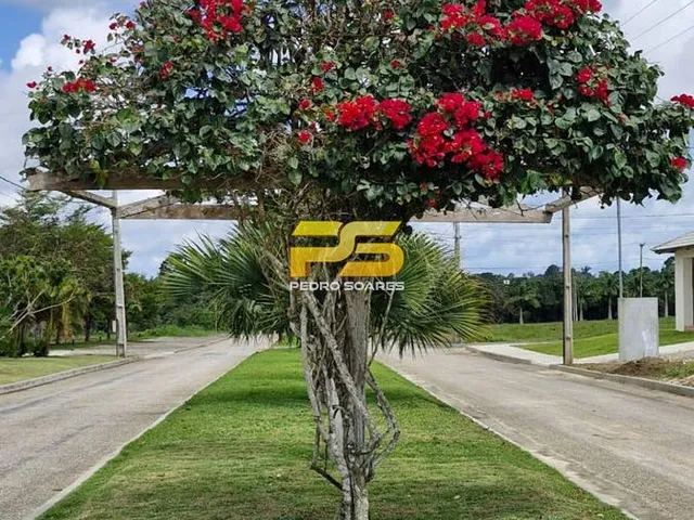 Imagem 16: Apartamento À Venda - Condomínio Sonhos da Serra