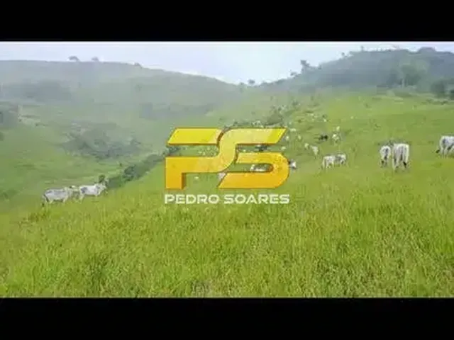 Imagem 9: Fazenda com 600 Hectare para Venda em Alagoas