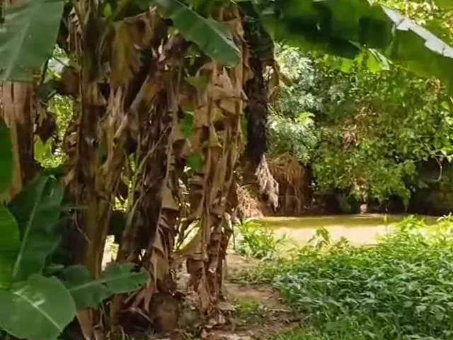 Imagem: Terreno À Venda em Viamão Bairro São