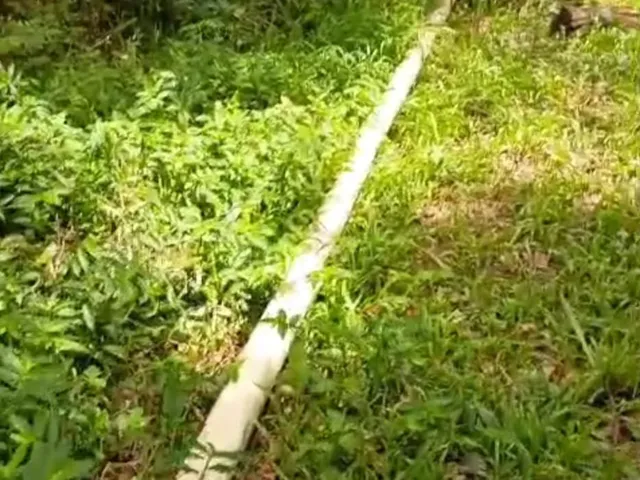 Imagem 2: Terreno À Venda em Viamão Bairro São Lucas Ref: 57581421