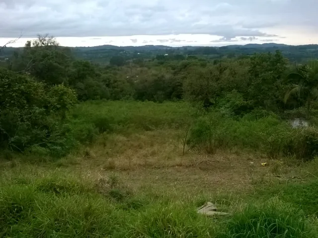 Imagem 2: Terreno Comercial de Frente para o Asfalto com Aproximadamente 5.000M² Ref: 57581737