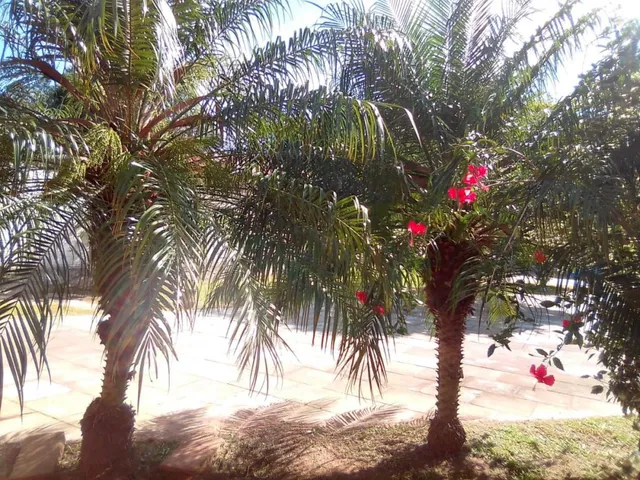 Imagem 13: Excelente Residência - Tarumã - Viamão Rs Ref.:57580395