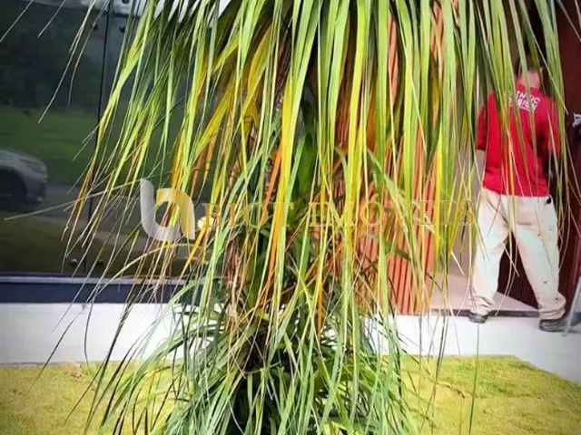 Imagem 9: Imperdível: Casa À Venda em Maricá-Rj, Bairro Pilar, 3 Quartos, 1 Suíte, 1 Sala, 3 Banheiros, 1 Vaga de Garagem, 179M²