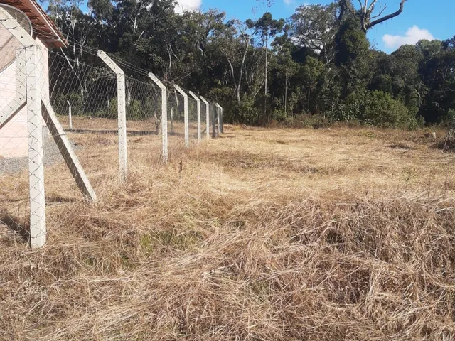 Imagem 8: Terreno À Venda no Bairro Bom Sucesso - Itaiópolis/Sc
