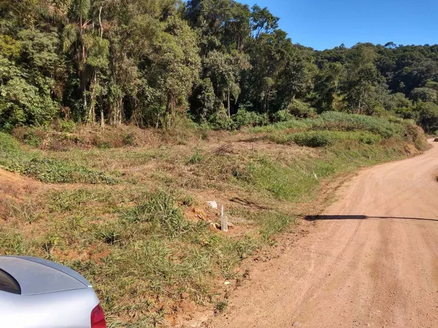Imagem 2: Terreno na Barragem em Alto Palmeiras