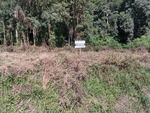 Imagem 5: Terreno na Barragem em Alto Palmeiras