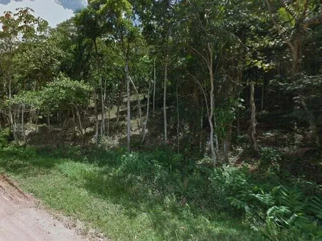 Imagem 2: Terreno em Timbó para Condomínio Ou Prédios - Bairro das Nações