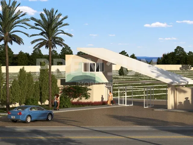 Imagem: Arvore Penteada Beach Residence