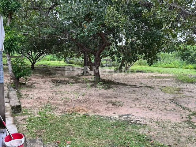 Imagem 16: Sítio À Venda Fazenda / sítio com 2 dormitórios