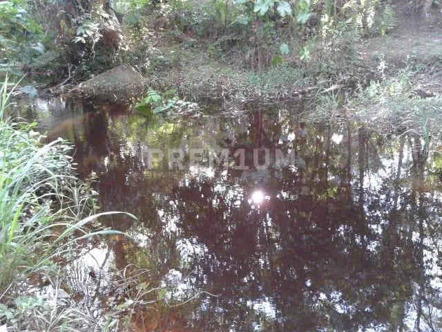 Imagem 3: Sítio À Venda Fazenda / sítio com 2 dormitórios
