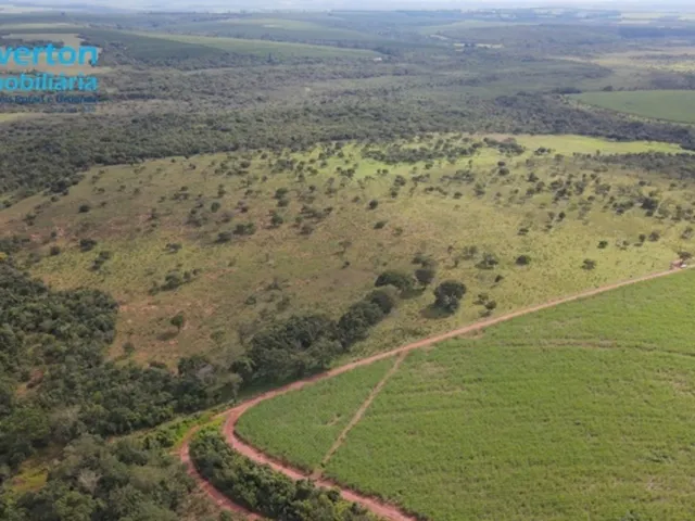 Imagem 6: Fazenda em Uberlândia Dupla Aptidão com 15 Alqueires, Ou Seja, 72,60 Hectares