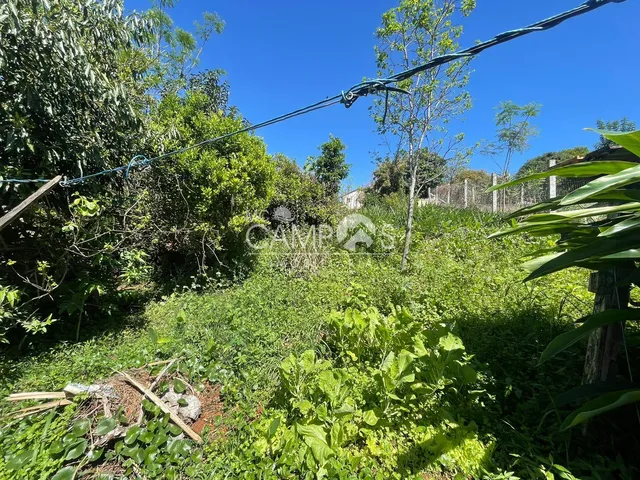 Imagem 7: Lote À Venda, Nossa Senhora de Lurdes, Dois Vizinhos - Pr