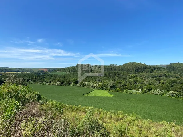 Imagem 14: Sítio de 15 Alqueires À Venda com Infraestrutura Completa para Pecuária e Agricultura