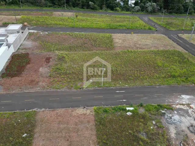 Imagem 5: Lote de 370M no Loteamento Alto Alegre Bairro Nova Petrópolis