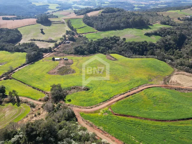 Imagem 3: Área Rural À Venda em Volta Alegre Francisco Beltrão com 60.415,00M²