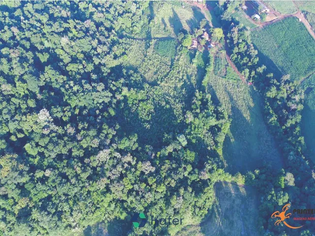 Imagem 4: Propriedade Á Venda - Linha São Sebastião - Capanema-Pr