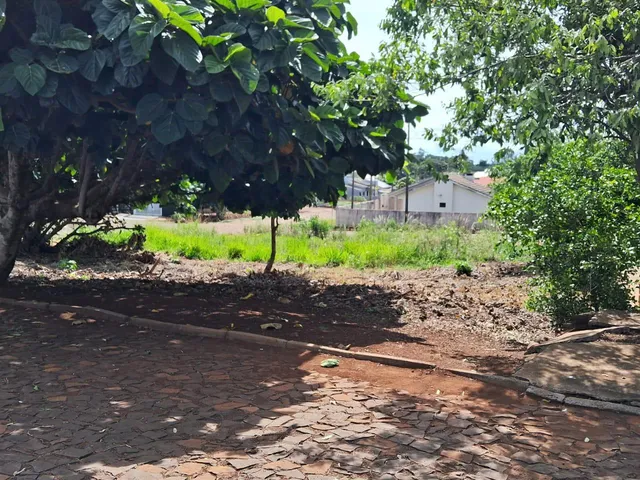 Imagem 2: Terreno Á Venda -Bairro santa Bárbara - Capanema Pr