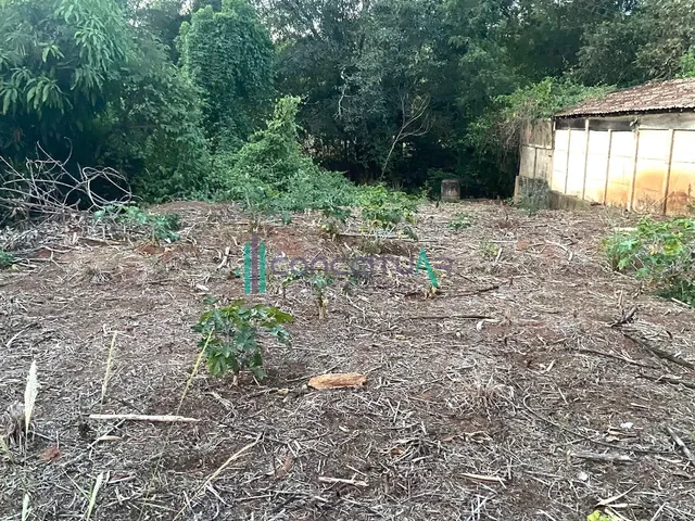 Imagem 2: Lote Murado Á Venda em Pains Mg com Aproximadamente 580,99 M2