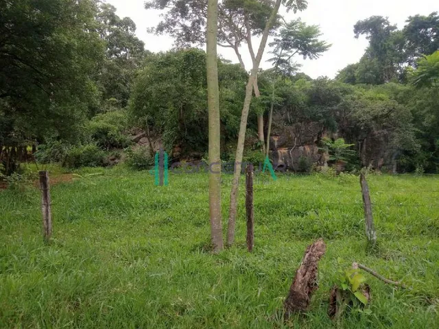 Imagem 1: Direito Minerário À Venda em Pains Mg - Jazida de Calcário com 434,59 Hectares