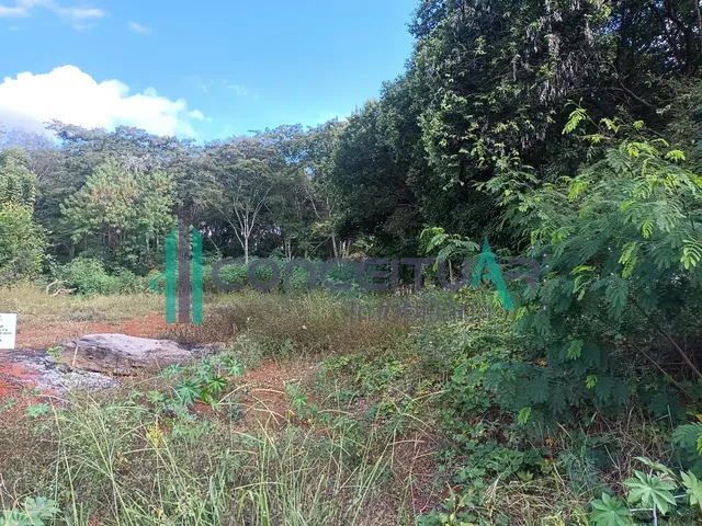 Imagem 2: Lote À Venda com 1.800 M , 24M X 75 M, Dona Ziza, Pains - Mg