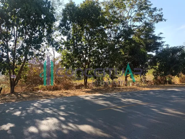 Imagem 7: Terreno de Aproximadamente 10.000 M , Às Margens da Rodovia Mg 170, Próximo À Tmf, Pains Mg