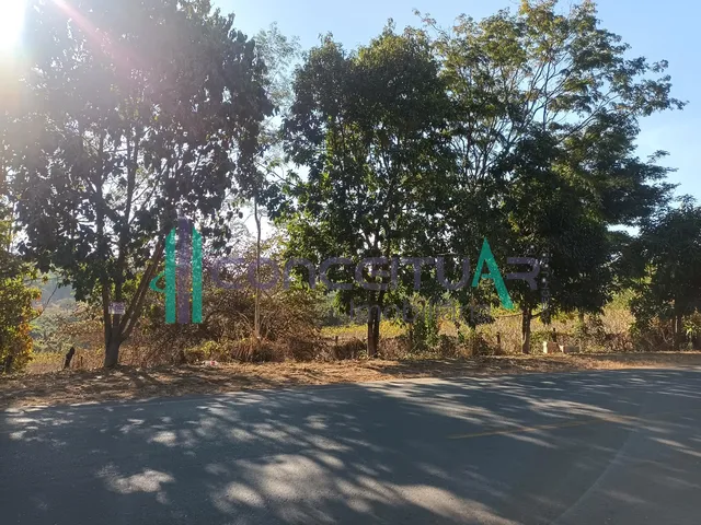 Imagem 5: Terreno de Aproximadamente 10.000 M , Às Margens da Rodovia Mg 170, Próximo À Tmf, Pains Mg