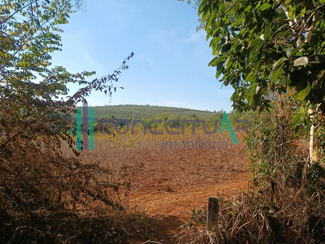 Imagem 2: Terreno de Aproximadamente 10.000 M , Às Margens da Rodovia Mg 170, Próximo À Tmf, Pains Mg