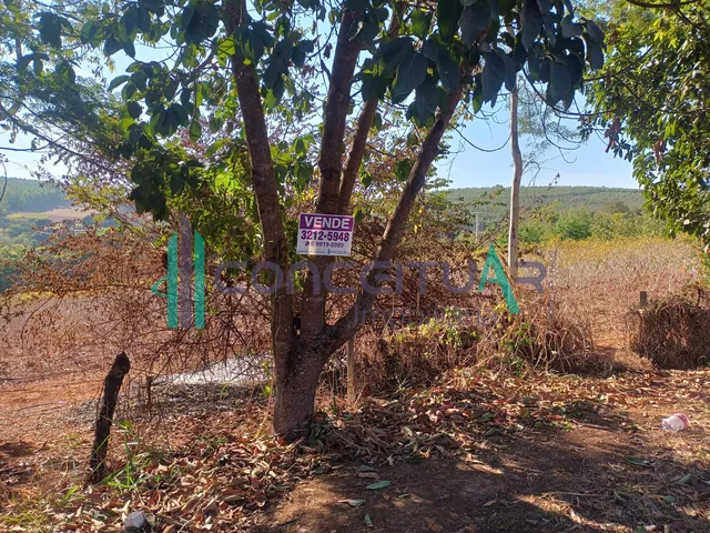 Imagem 3: Terreno de Aproximadamente 10.000 M , Às Margens da Rodovia Mg 170, Próximo À Tmf, Pains Mg