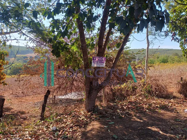 Imagem 4: Terreno de Aproximadamente 10.000 M , Às Margens da Rodovia Mg 170, Próximo À Tmf, Pains Mg