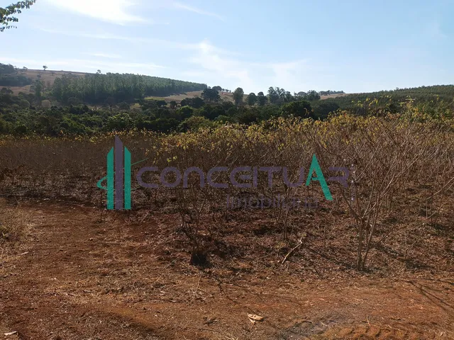 Imagem 9: Terreno de Aproximadamente 10.000 M , Às Margens da Rodovia Mg 170, Próximo À Tmf, Pains Mg