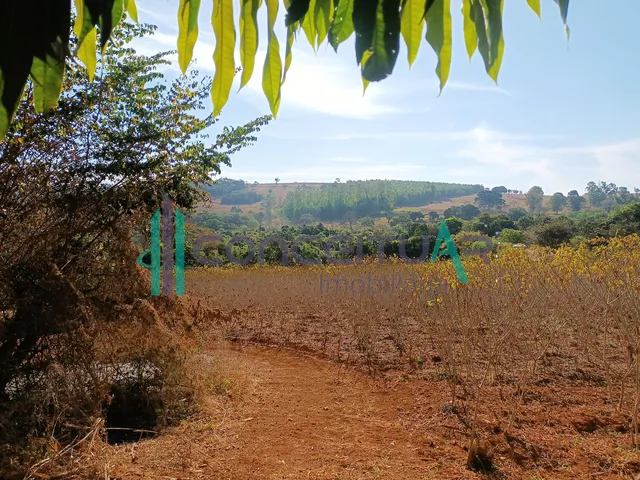 Imagem 11: Terreno de Aproximadamente 10.000 M , Às Margens da Rodovia Mg 170, Próximo À Tmf, Pains Mg