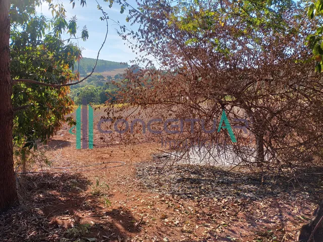 Imagem 13: Terreno de Aproximadamente 10.000 M , Às Margens da Rodovia Mg 170, Próximo À Tmf, Pains Mg