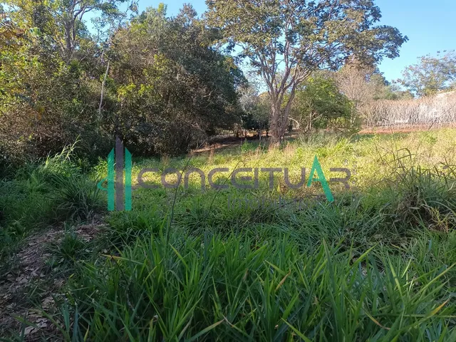 Imagem 14: Terreno de Aproximadamente 10.000 M , Às Margens da Rodovia Mg 170, Próximo À Tmf, Pains Mg