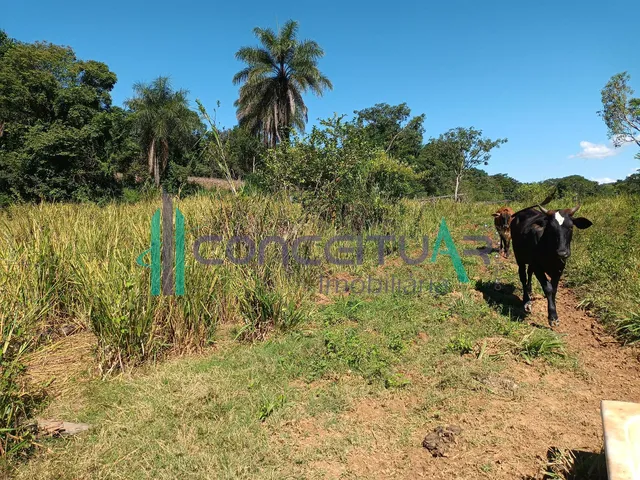 Imagem 2: Terreno À Venda, Terreno com 17,5 Hectares, Zona Rural, Pains - Mg