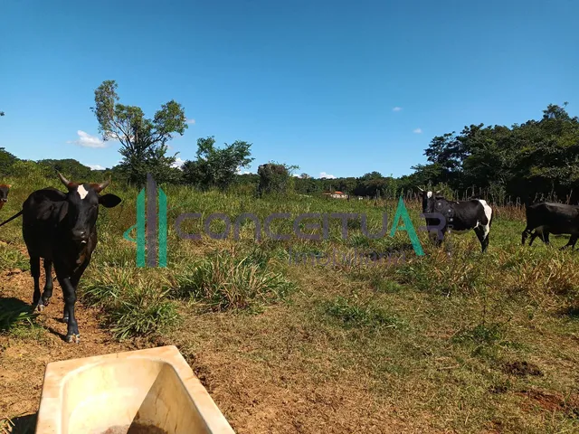 Imagem 3: Terreno À Venda, Terreno com 17,5 Hectares, Zona Rural, Pains - Mg
