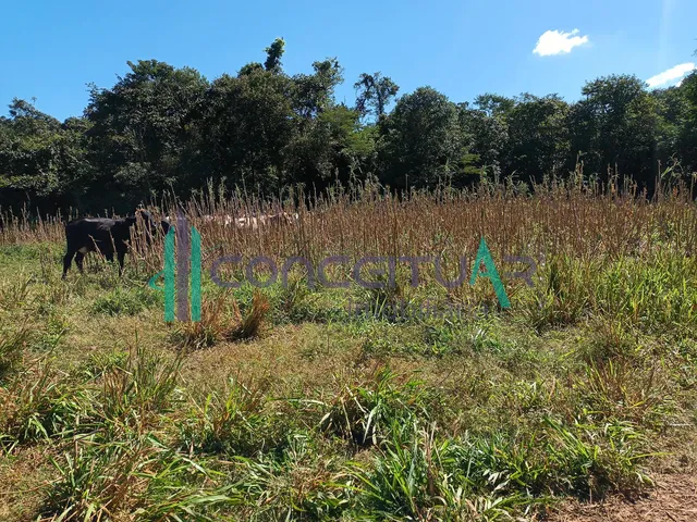 Imagem 4: Terreno À Venda, Terreno com 17,5 Hectares, Zona Rural, Pains - Mg