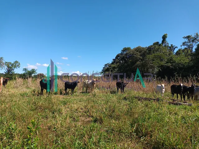Imagem 5: Terreno À Venda, Terreno com 17,5 Hectares, Zona Rural, Pains - Mg