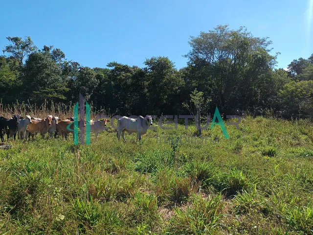 Imagem 6: Terreno À Venda, Terreno com 17,5 Hectares, Zona Rural, Pains - Mg